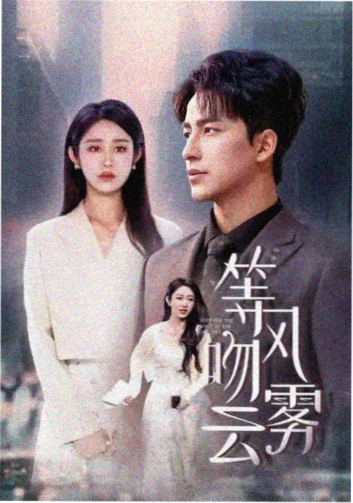 资源吧电视剧集长夜列车资源封面